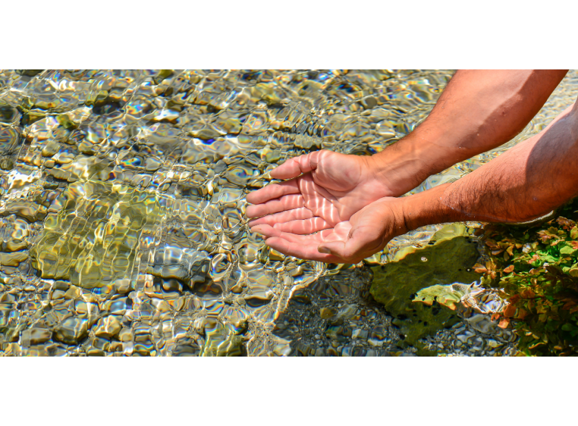 Spring Water vs. Purified Water: Which is Better?