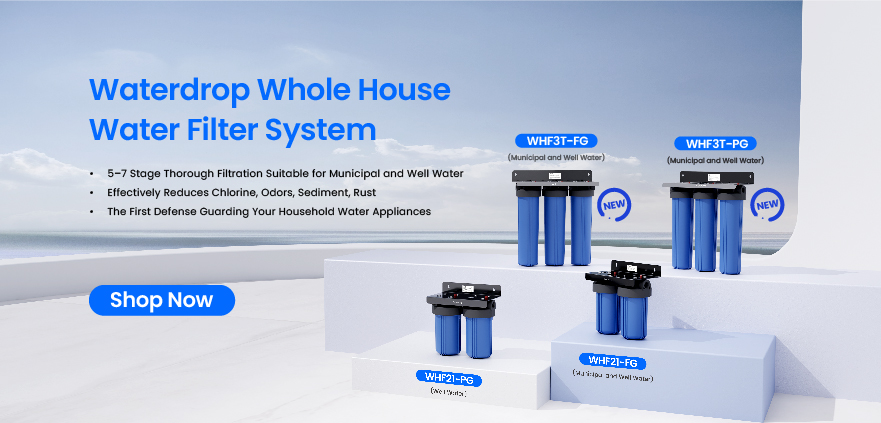 https://www.water-filter.com/sediment-filtration-systems
