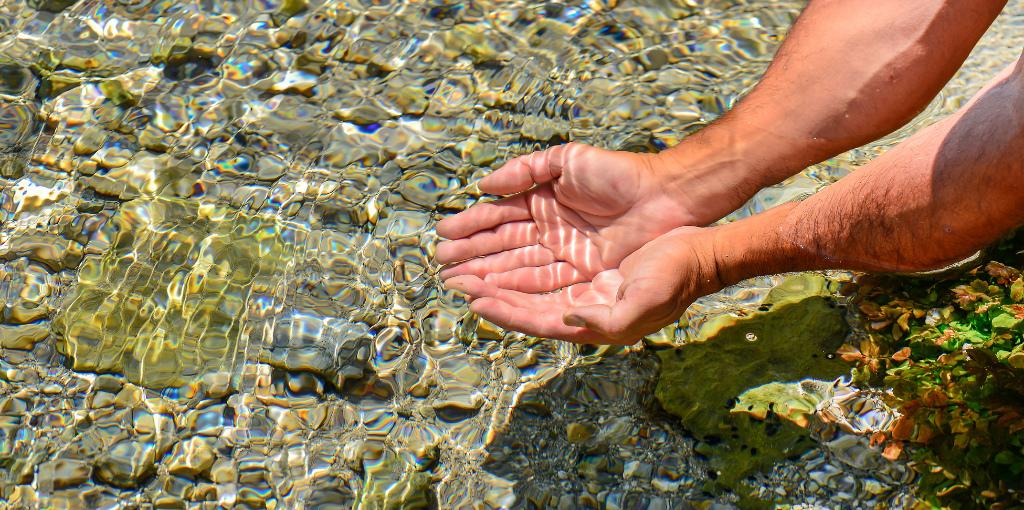 a pair of hands held water in the stream