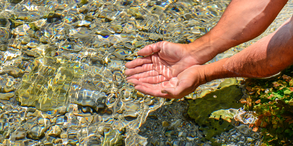 Spring Water vs. Purified Water: Which is Better?